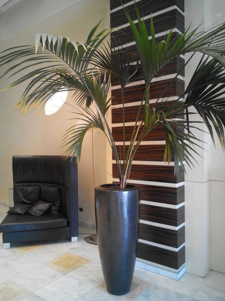 Hotel Papillo & Roma